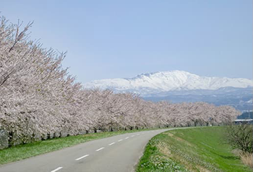 ���R�̃C���[�W